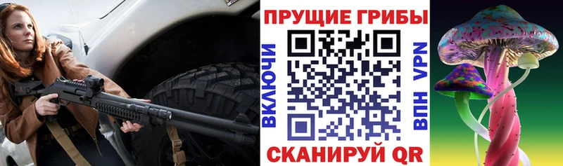 Галлюциногенные грибы Psilocybine cubensis  купить наркотики сайты  Новый Оскол 